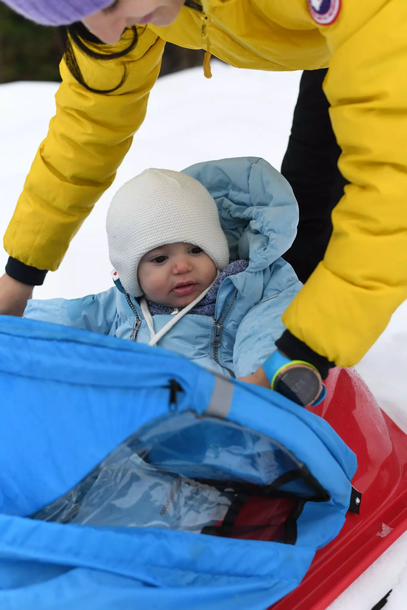 Baby Sled