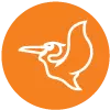 Pelican