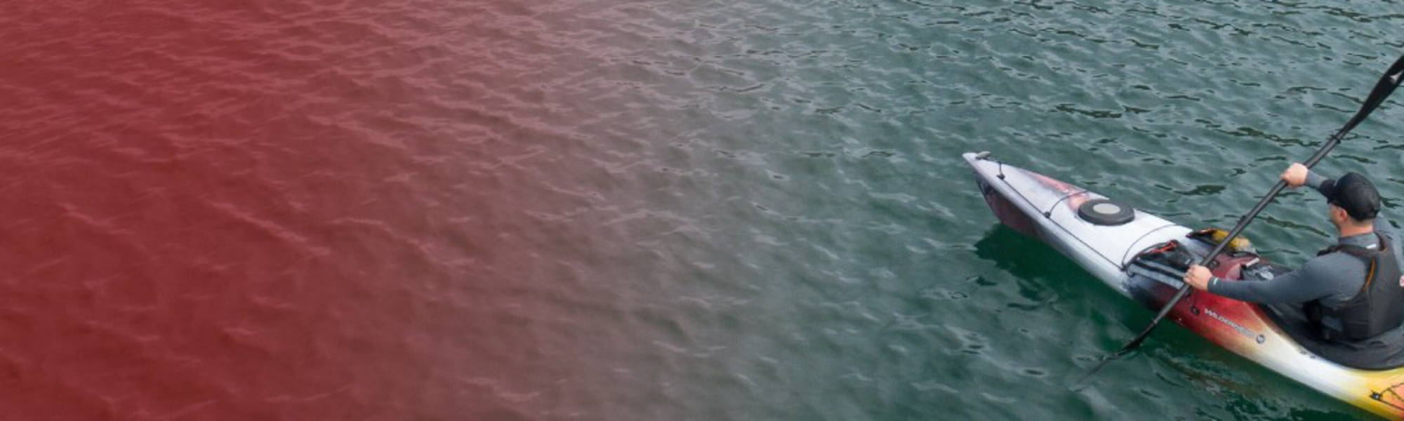 Wilderness Systems Sales