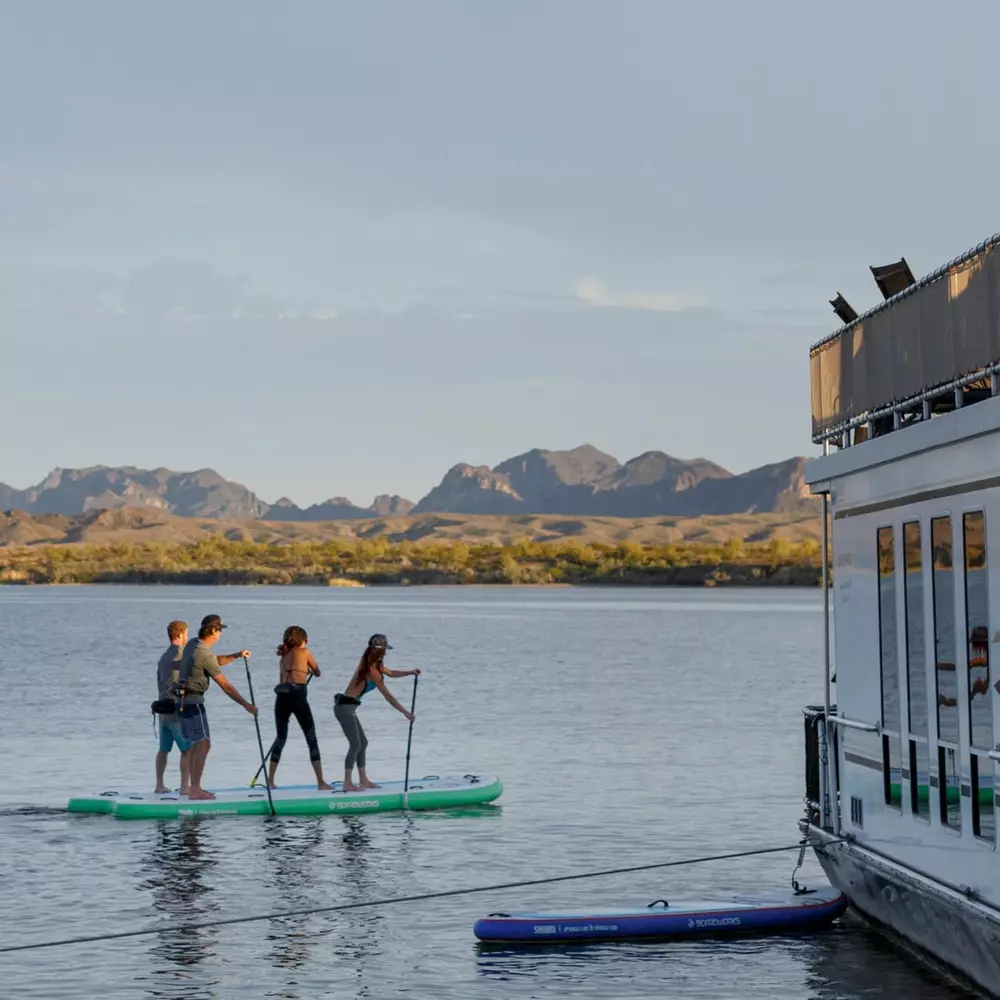 BOARDWORKS - Shubu Hydra Giant Inflatable Board (6-8 people) -  - 4450439512 - LIFE STYLE 1