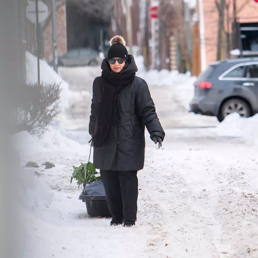 PELICAN - Trek 45 Utility Sled - Black - LDT45PA06-00 - LIFE STYLE 1