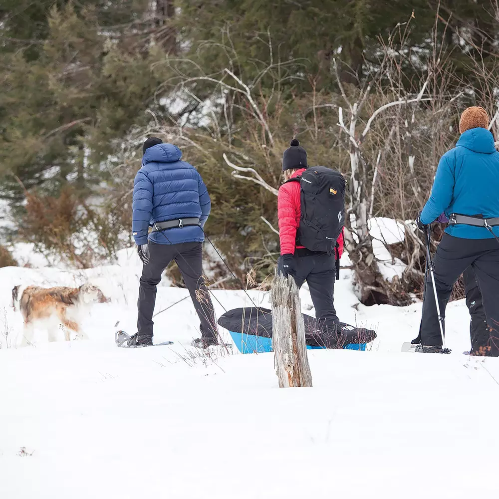 PELICAN - Trek 52 Utility Sled - Blue - LDT52PA30-00 - LIFE STYLE 2