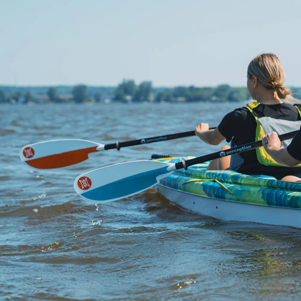 PERCEPTION - Horizon 2 Paddle 230cm -  - 8080133 - LIFE STYLE 3