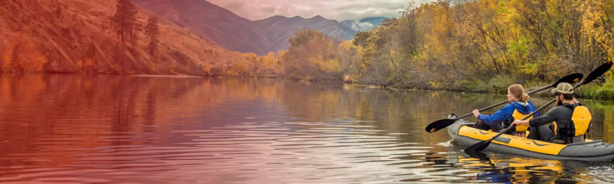 Advanced Elements Sales